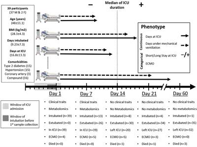 Predictive Biomarkers of Intensive Care Unit and Mechanical Ventilation Duration in Critically-Ill Coronavirus Disease 2019 Patients